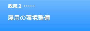 政策2 雇用の環境整備